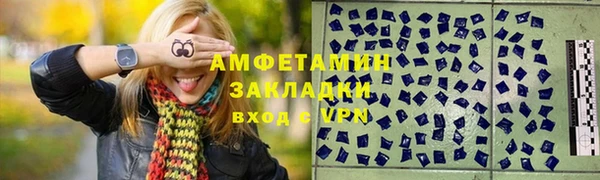 гашик Дмитров